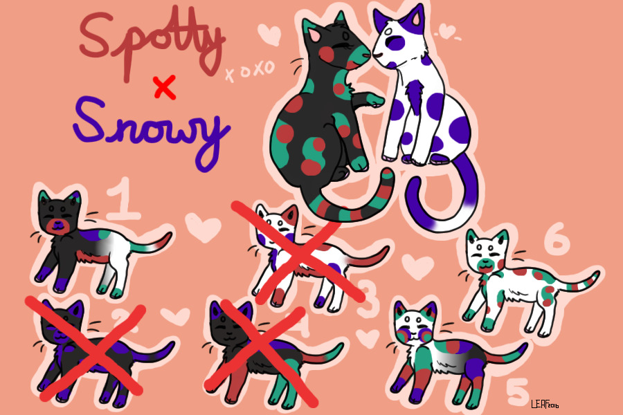 Spotty x Snowy adoptable kittens!