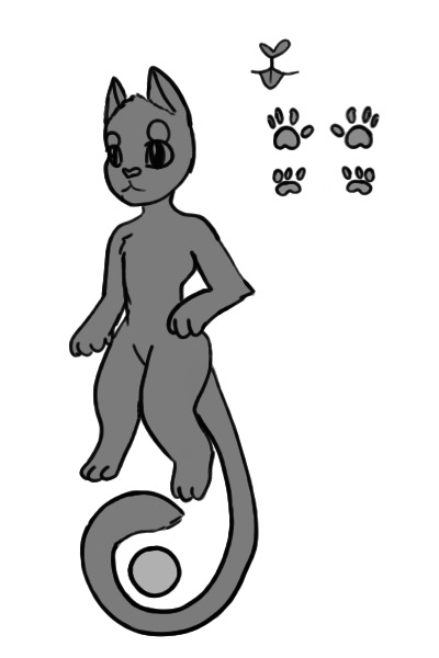 orb kitty adopts
