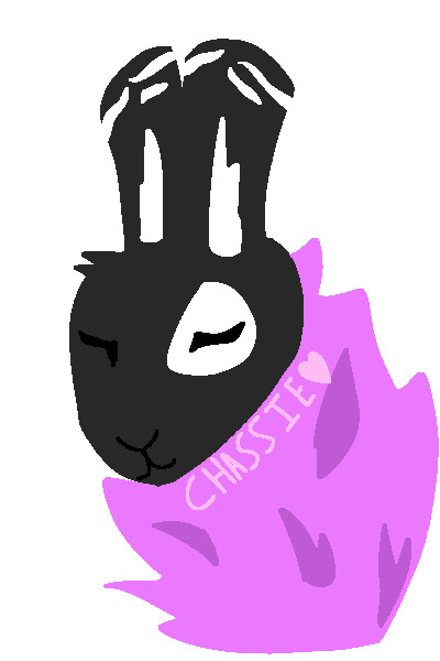 soft bunny
