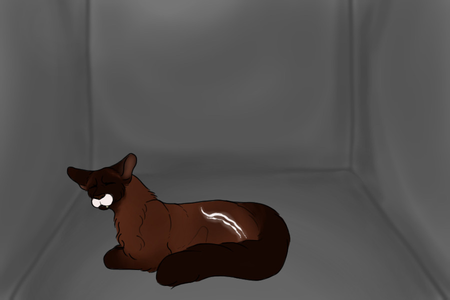 Harley | Drawn by Neah Walker