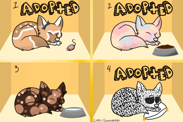 Foxy adoptee