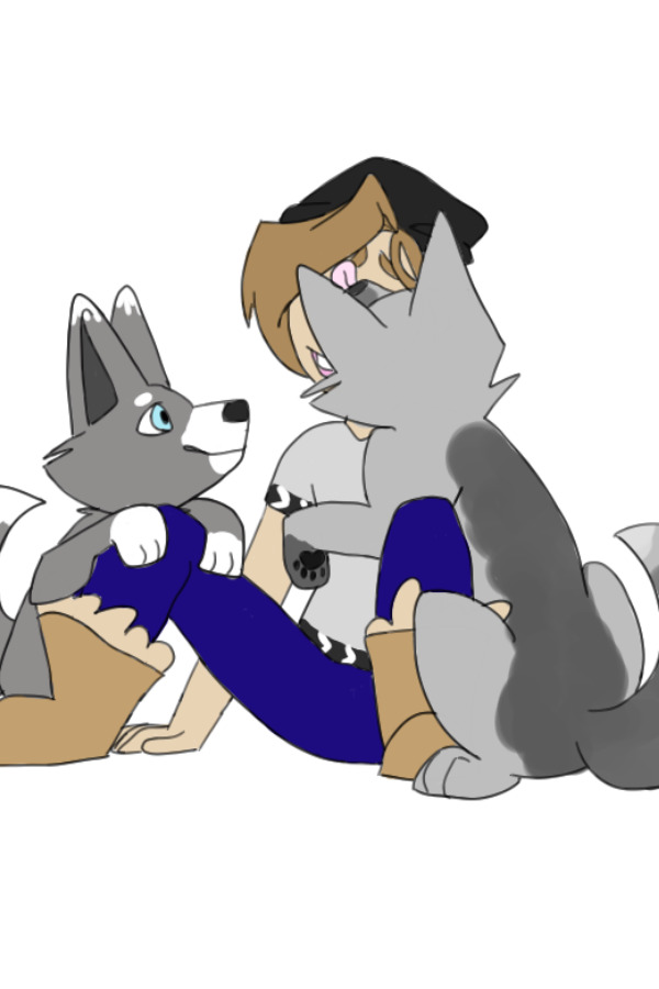 Huskies
