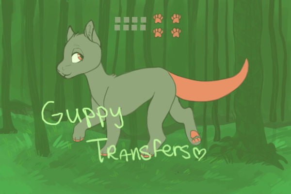 Guppy Transfers