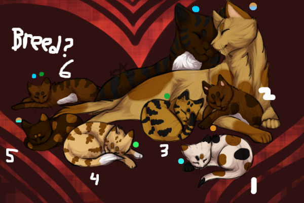 Hawk x Naidia  Kitten 3 is up for adoption!