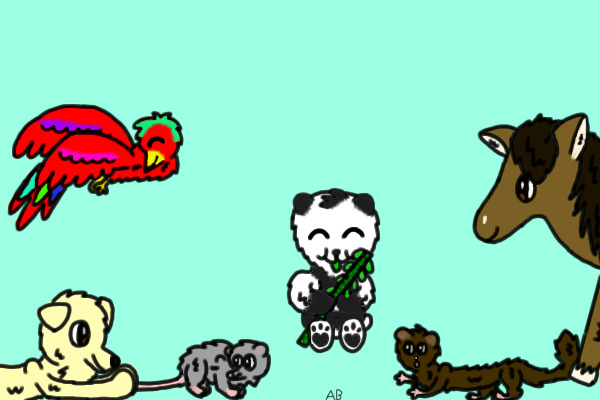 Dog, Horse, Rat, Panda, Ferret and Parrot.
