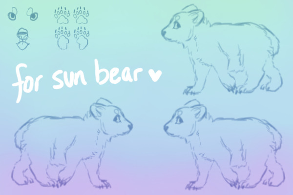 species sketch for sun bear <3