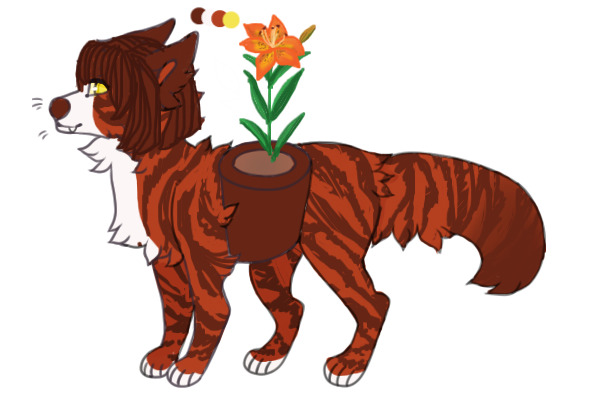 Catnip #18- Tiger Lily