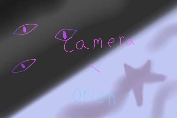 Entry 8- Camera x Orion