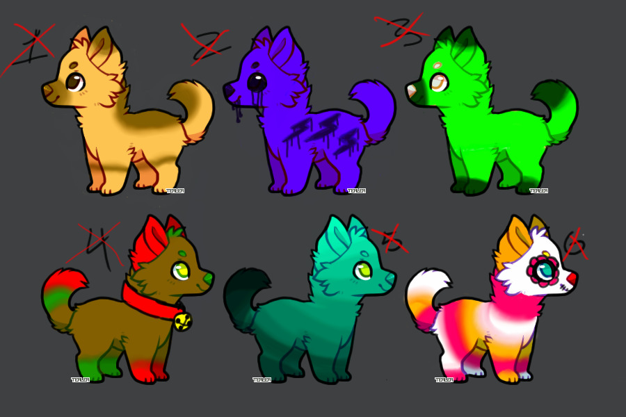 CANINE ADOPTABLES!!!