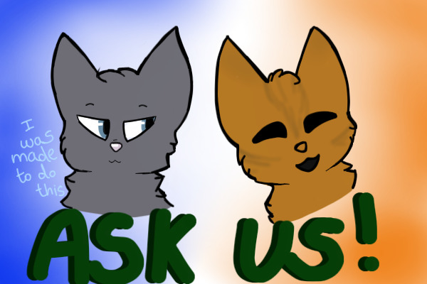 Ask Bleu and Felix!