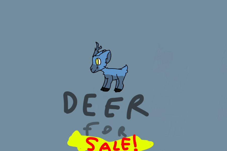 Deer for sale! Basic deer, cheap deer!