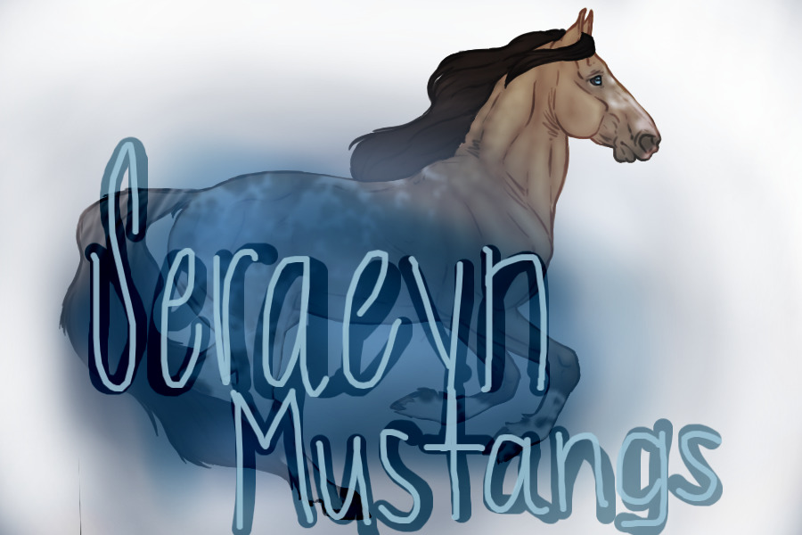 Seraeyn Mustangs cover