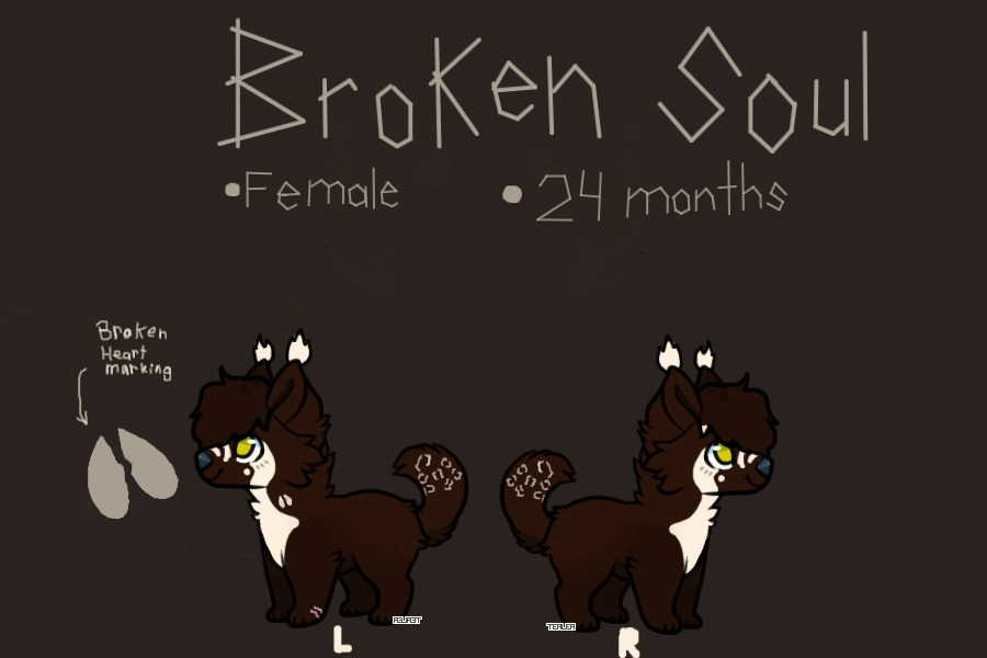 BrokenSoul Sheet