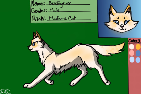 Bendingriver -- Medicine Cat of Duskclan