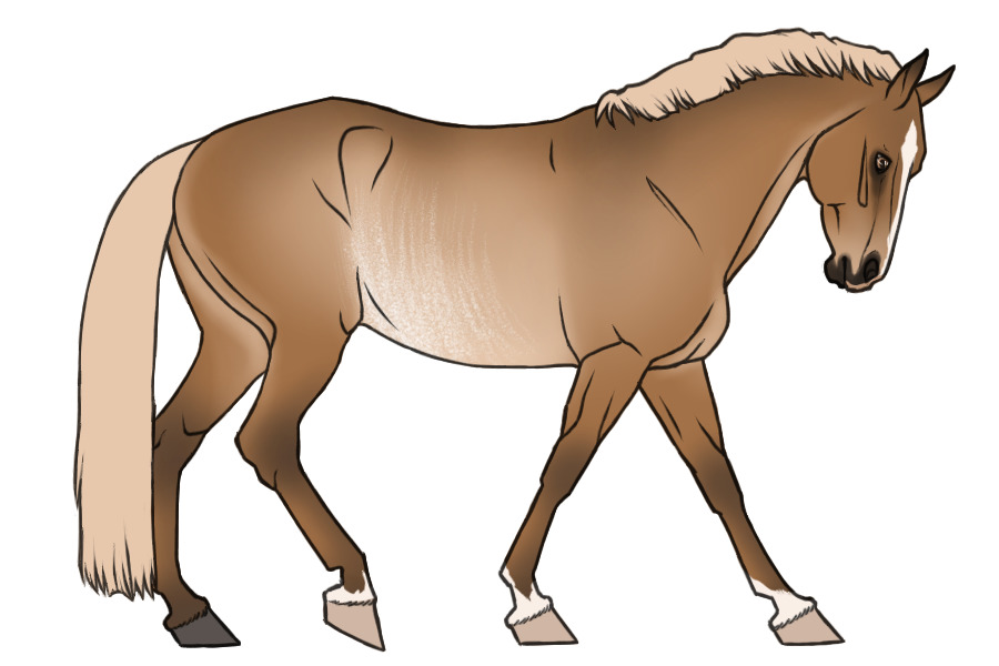 Pungy Horse