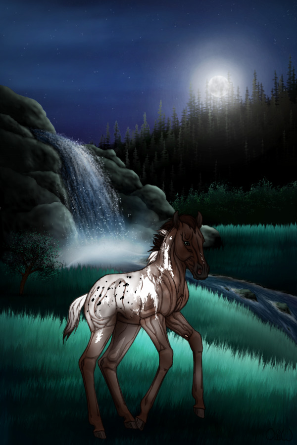 ~🌒~ #12 Midnight Stallions Foal ~🌒~
