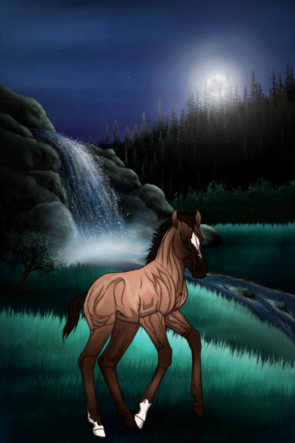 Midnight stallions - foal -#2