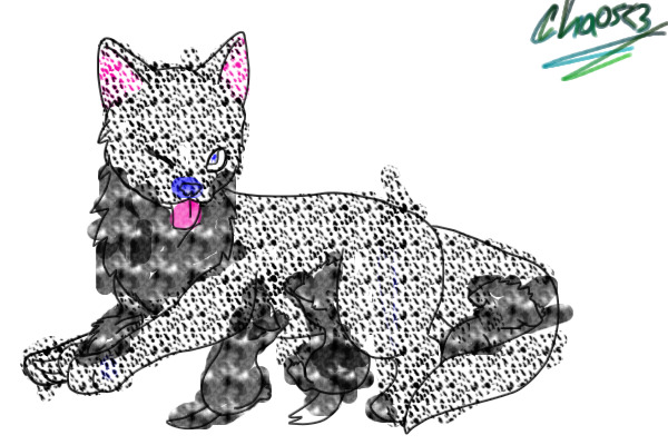 my kitty