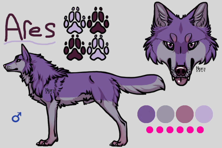 Ares/ Male wolf