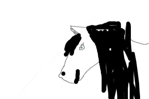 filly