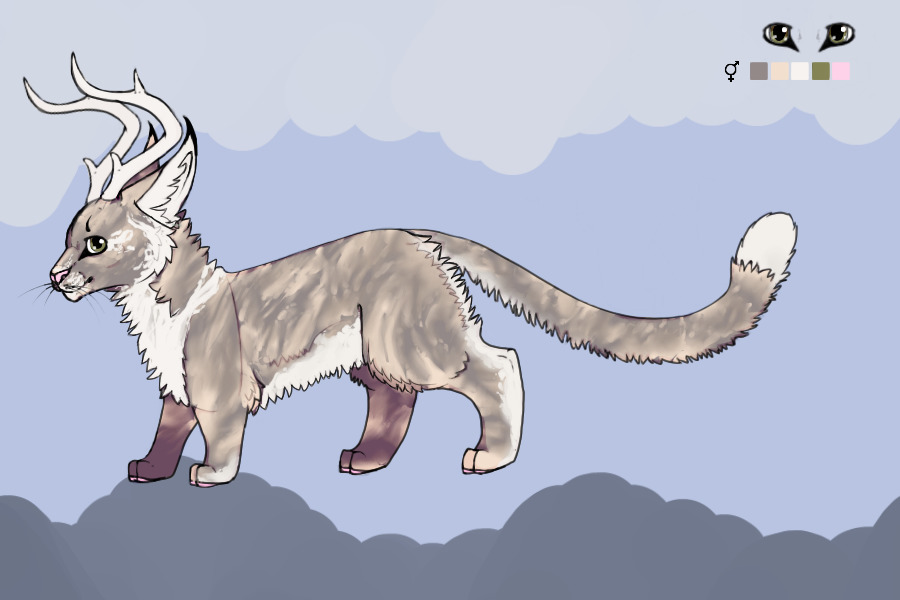 Parvus Lynx | "Dilute Tortoiseshell" #56 | Adopted!