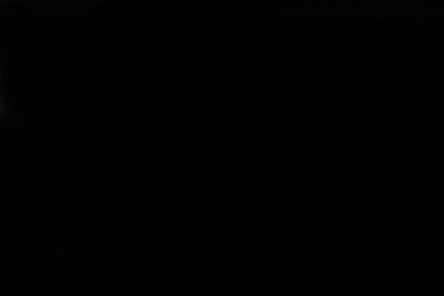 Rejoining Chicken Smoothie