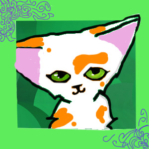 Cat avatar 🐱