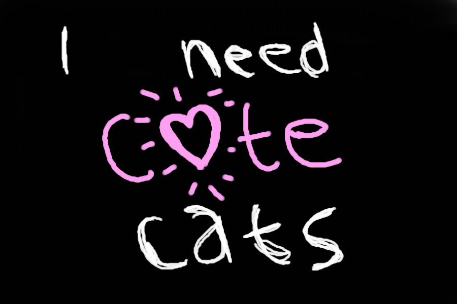 I need CUTE cats!!!!