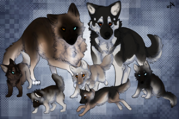 Breed for AlairWolf (~HєуRєι~)
