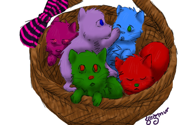 kits