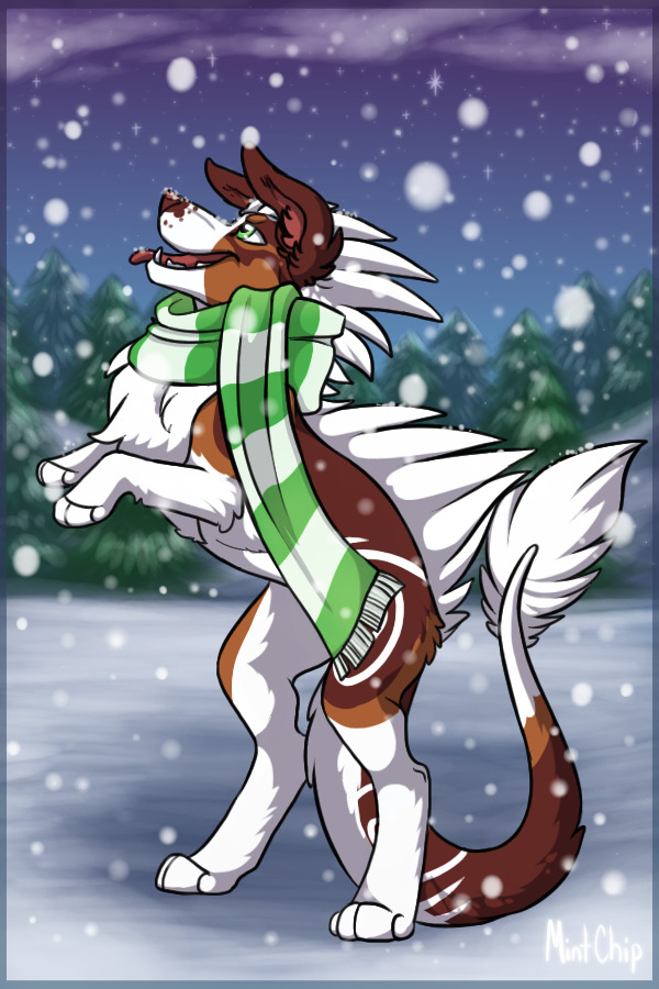Cinna in the Snow