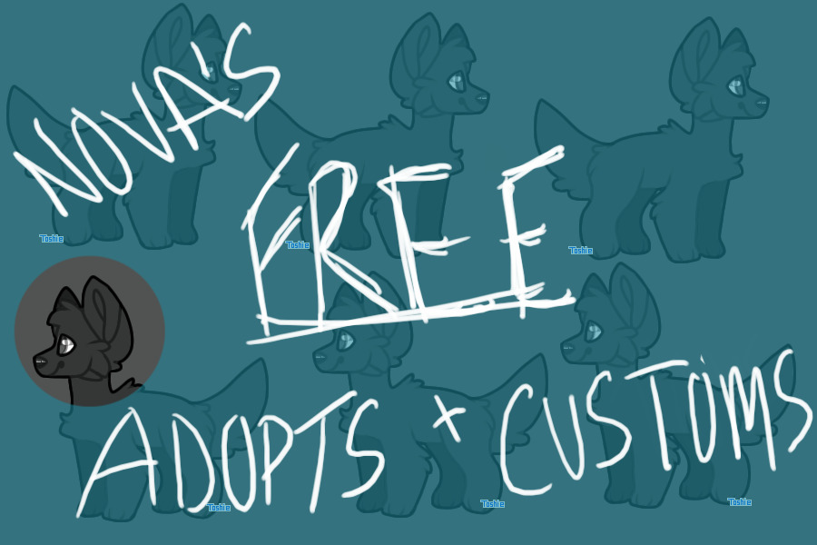 ⭐ nova's free adopts + customs ⭐
