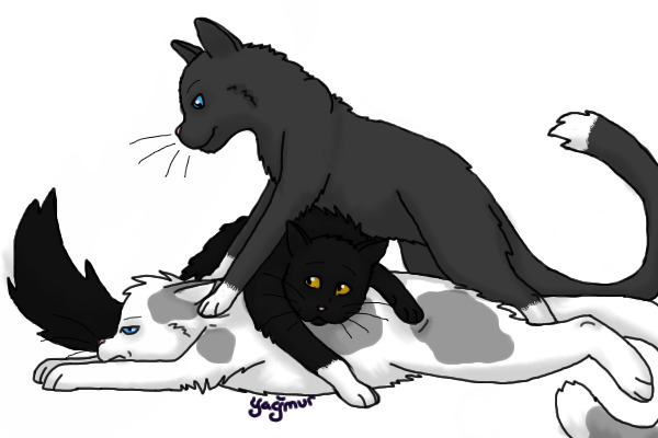 The Apprentices