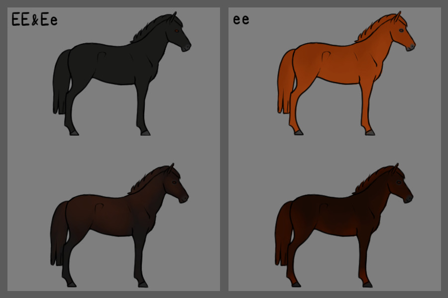 Horse Colour Genetics - Extension