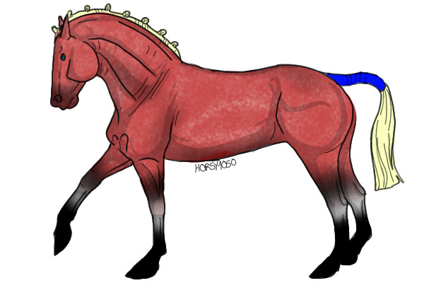 HDC's horse!