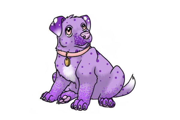 Purple Dalmation