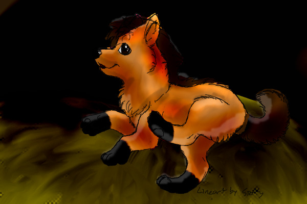 Ponydog?