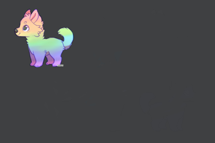 Rainbow pup