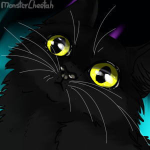 My black kitty <3
