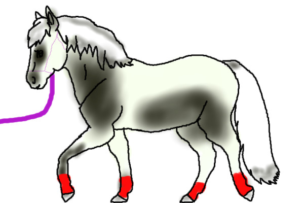 Event Pony