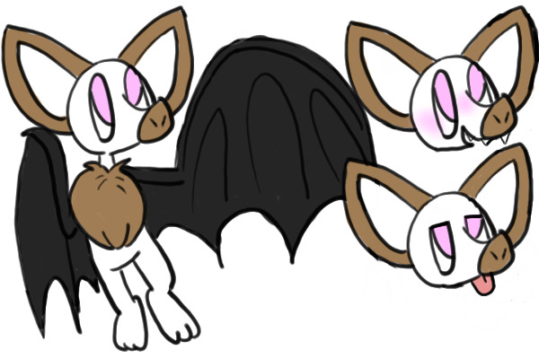 A Pallid Bat