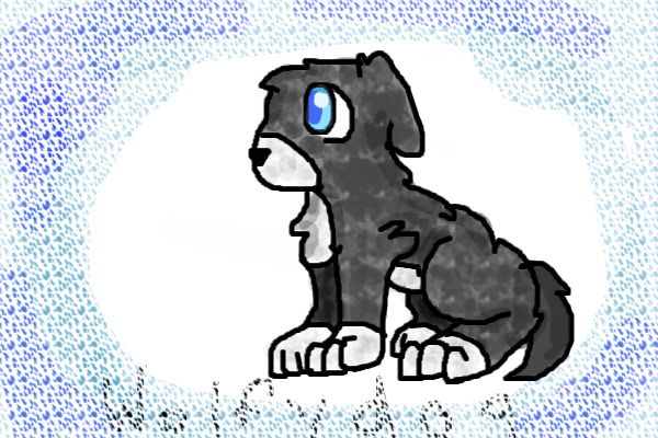 A dog