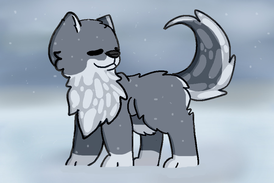 Grey in the snow