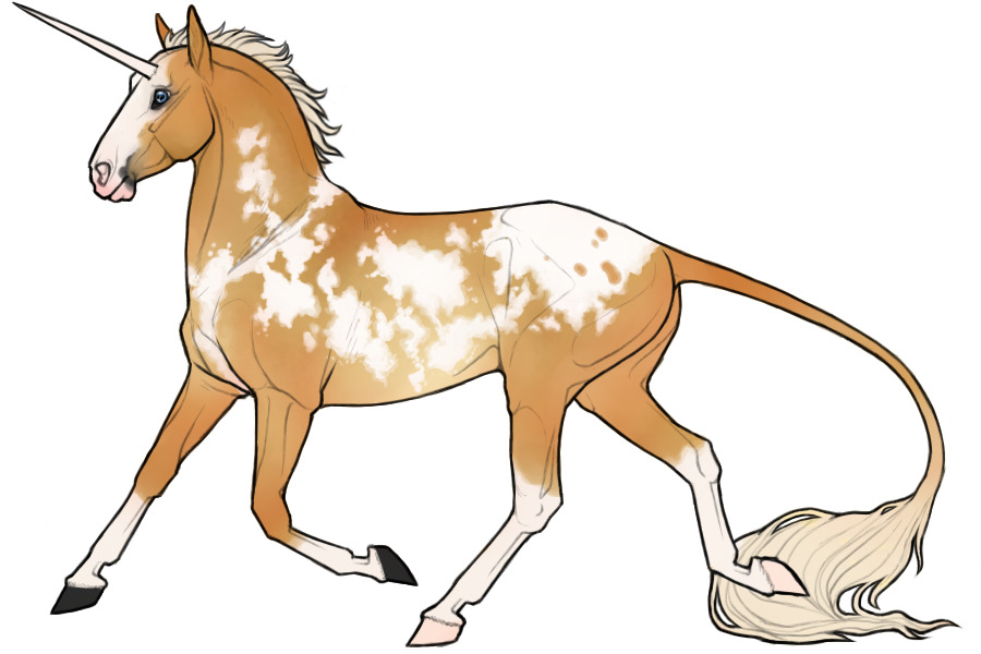 Fae: Palomino Overo Few Spots Blanket Pintaloosa