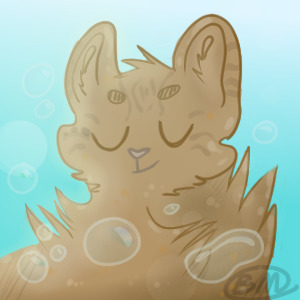 Bubble Cat Avatar