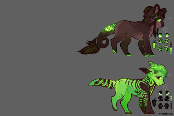 green bean + cocoa bean