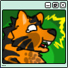Tora