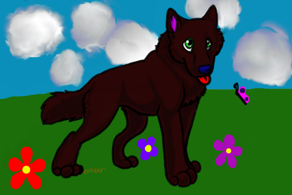Cholate Wolf