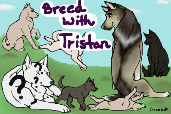 Breed with Tristan?? Free!