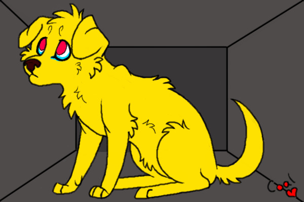 Sad Puppy!!